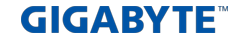 gigabyte