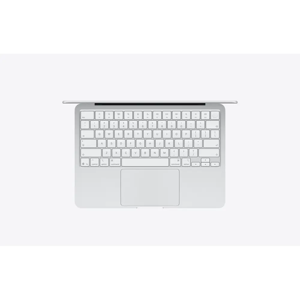 5.webp