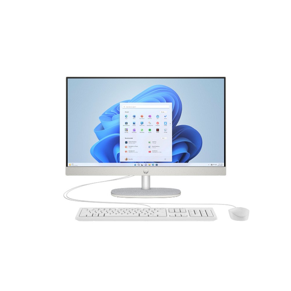 23.8" HP All-in-One