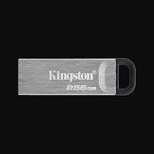Kingston USB 3.0 - 256GB